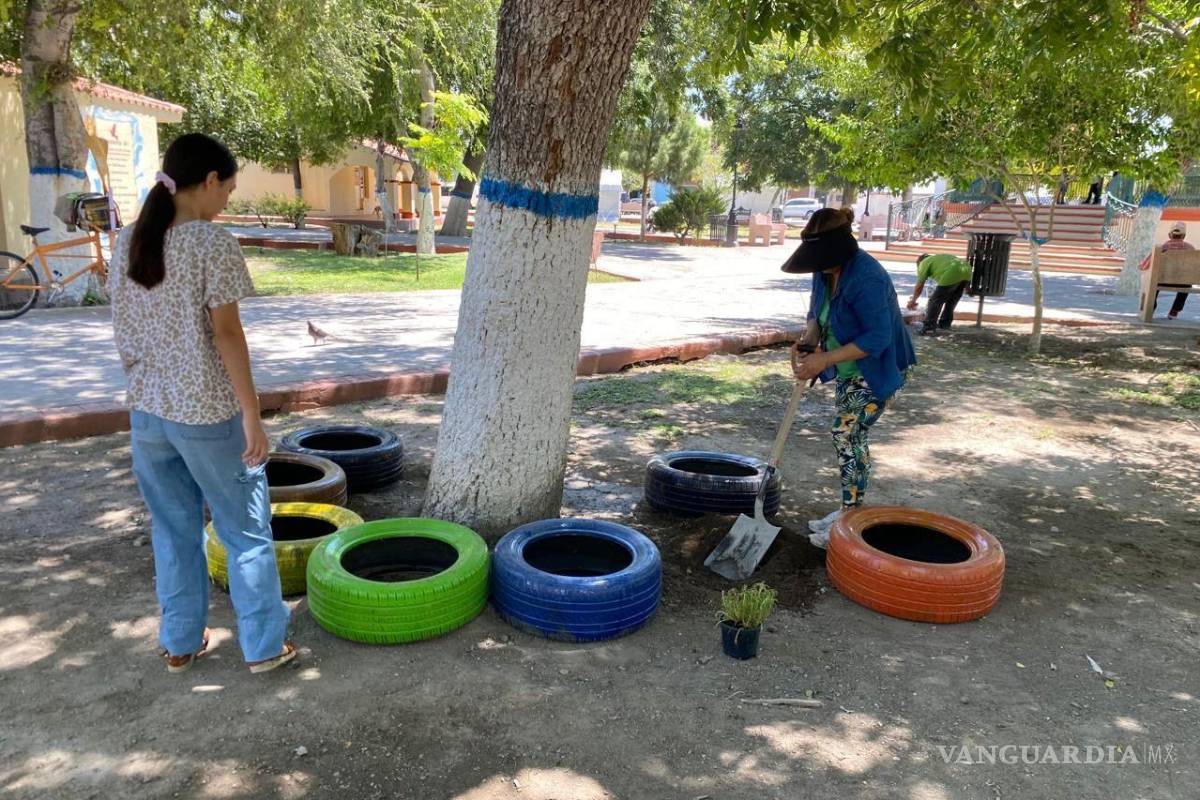 En Cuatro Ciénegas, jóvenes embellecen la plaza principal con plantas y reciclaje