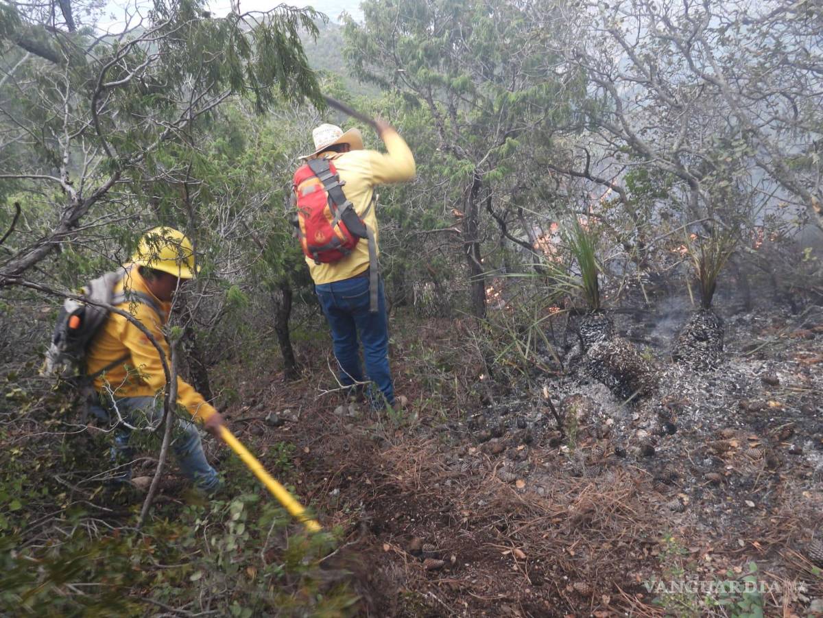 $!Los brigadistas controlaron rápidamente el fuego con ayuda de la lluvia.