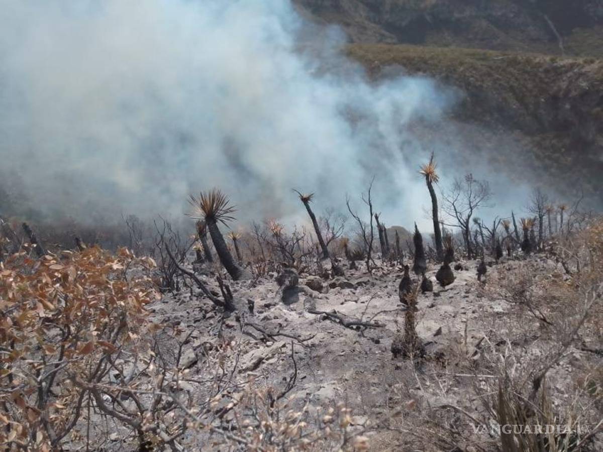 $!Además se contó con equipo aéreo: un helicóptero del Gobierno Federal (Conagua) y una aeronave del Gobierno del Estado.
