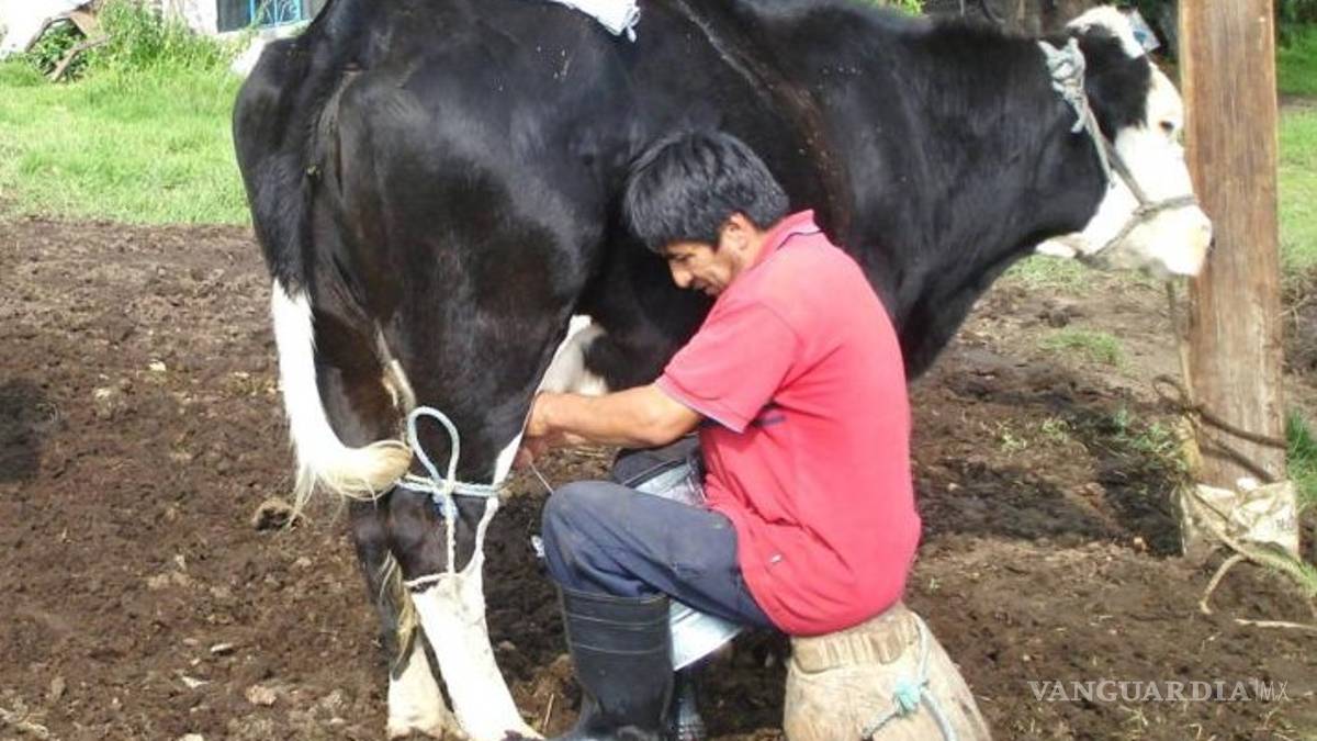 Exigen productores de leche, terminar con el comercio de producto adulterado