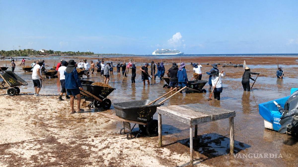 Japón y México se unen contra el sargazo: Anuncian seminario en Cancún y Playa del Carmen