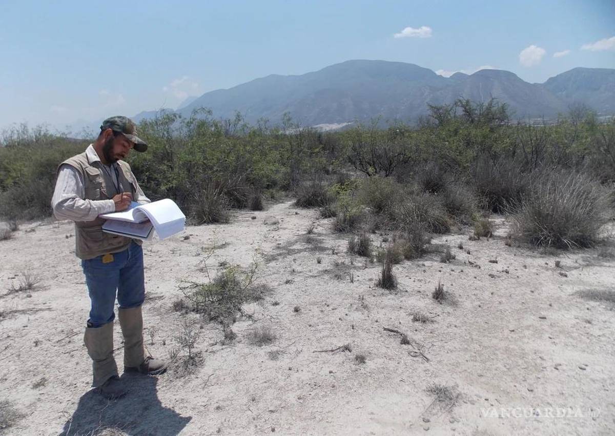 Saltillo: detecta Profauna hasta 40 tiraderos clandestinos en la Sierra de Zapalinamé