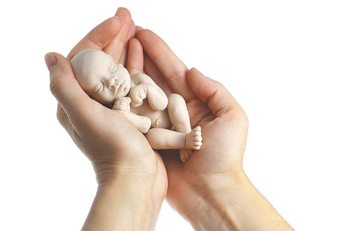 De retomarse el tema del aborto, que se someta a consulta: PAN