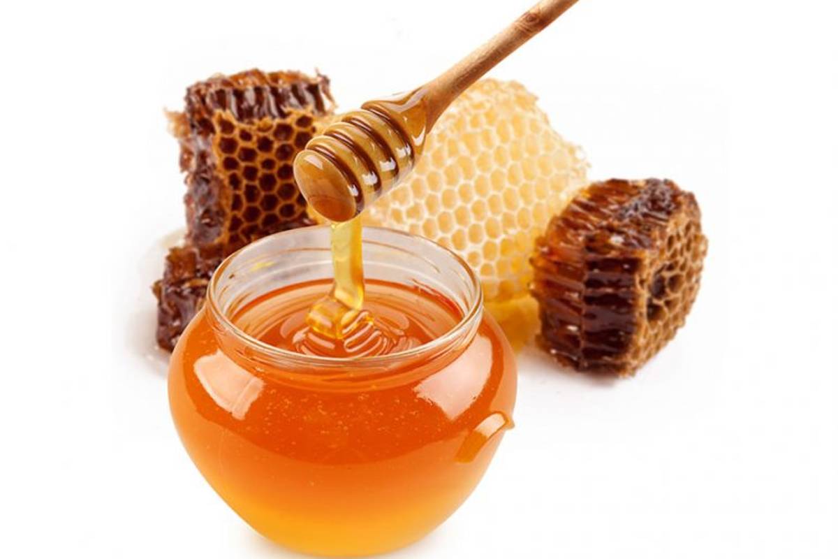 Aumenta 34 por ciento la producción de miel mexicana en primer cuatrimestre del año