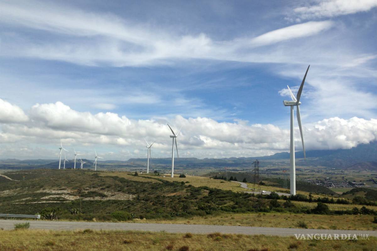 Enel Green incumple pagos millonarios a compañías de México; empresa en Saltillo, a punto de quebrar