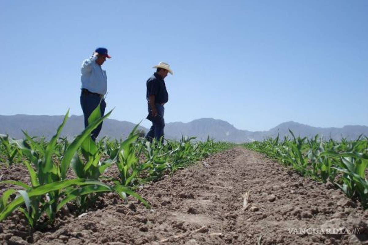 La pandemia deja sin empleo en dos meses a 62,800 campesinos