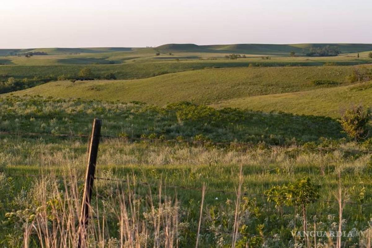 Campo de Acuña reverdece con las lluvias de septiembre