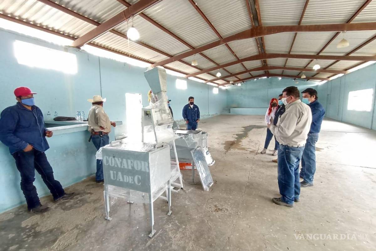 Apoyo a productores de cera de candelilla; emprende la UAdeC ambicioso proyecto