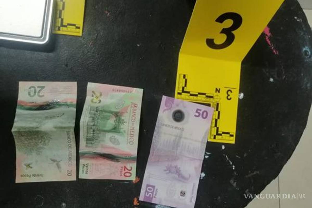 Catean viviendas en Nuevo León por delitos contra la salud y detienen a 9