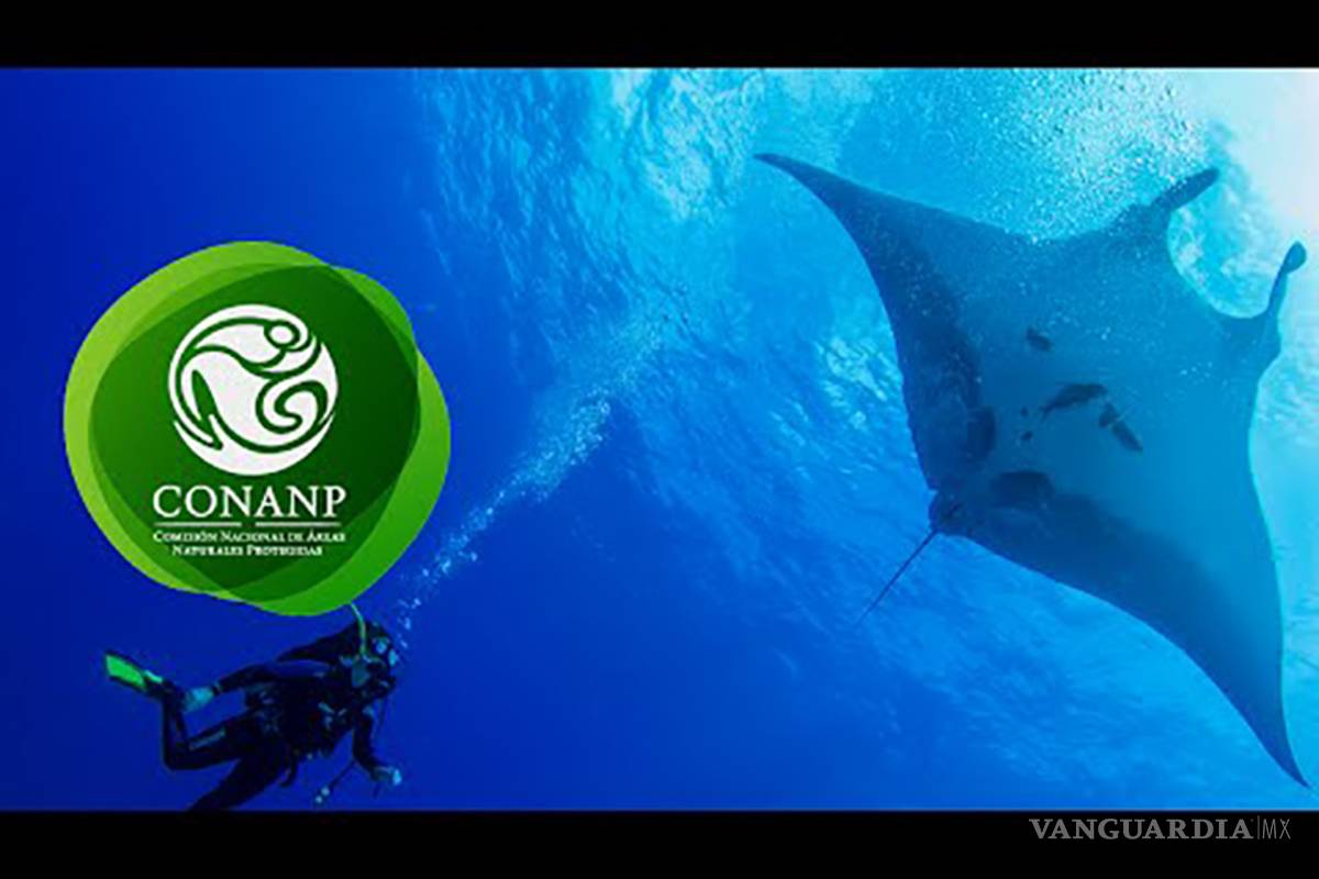 México busca convertir las islas Revillagigedo en un parque natural este año