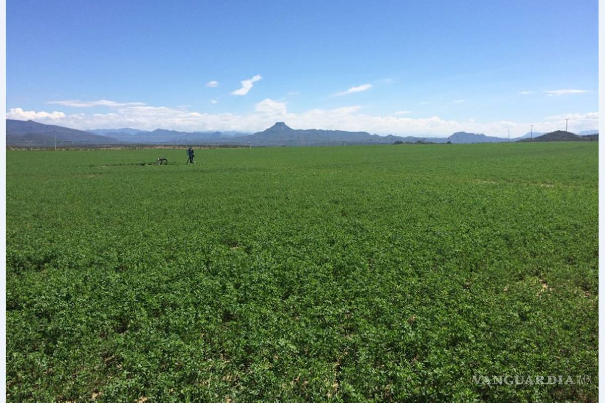 Tramita el Municipio 150 cambios de uso de suelo