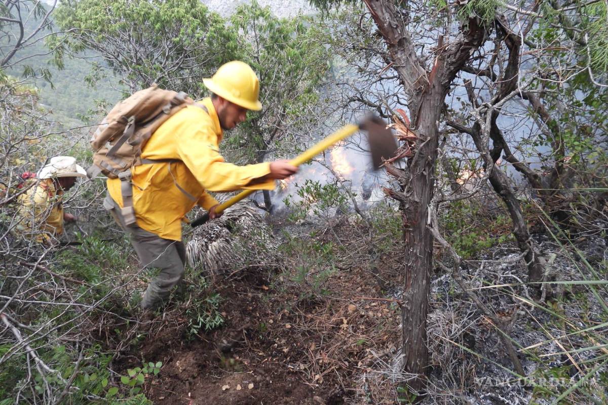 Controlan rápidamente incendio en la Sierra de Zapalinamé