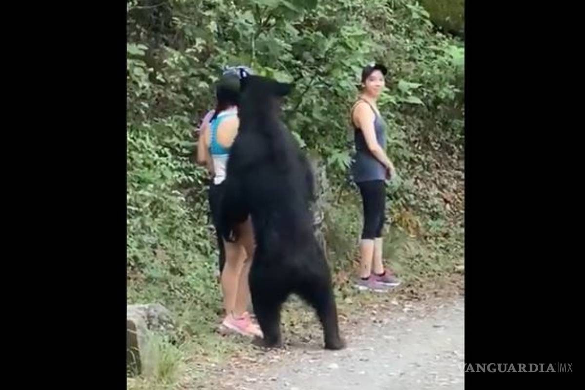 Caminantes viven momento de pánico luego de toparse con un oso en Chipinque (video)