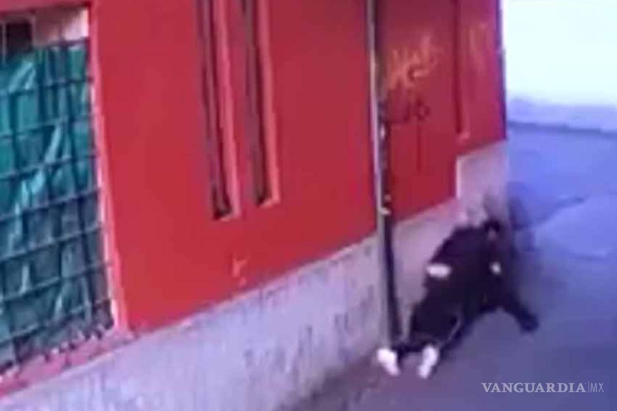 Capturan en Chalco a taxista que asaltó a joven