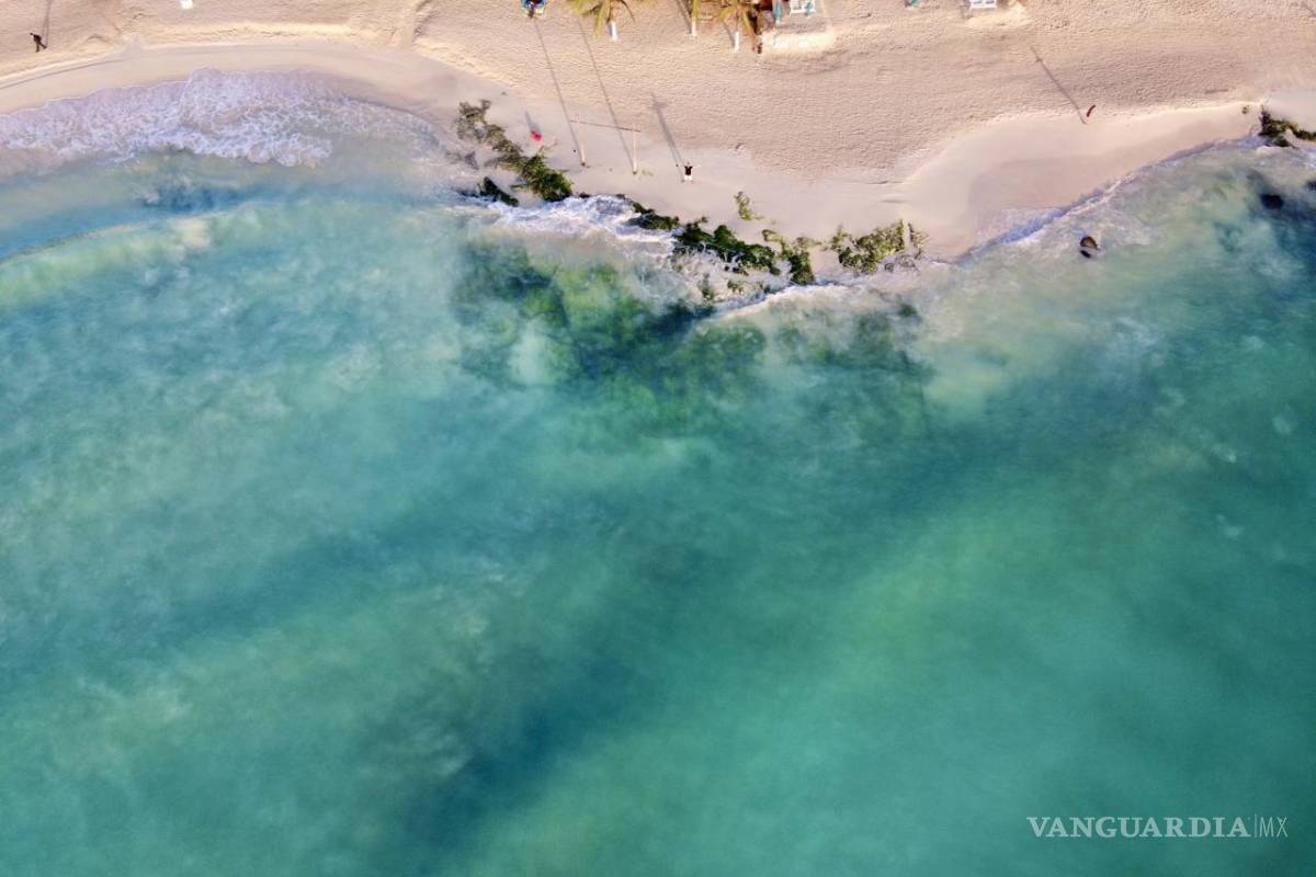 Viaje a Playa del Carmen