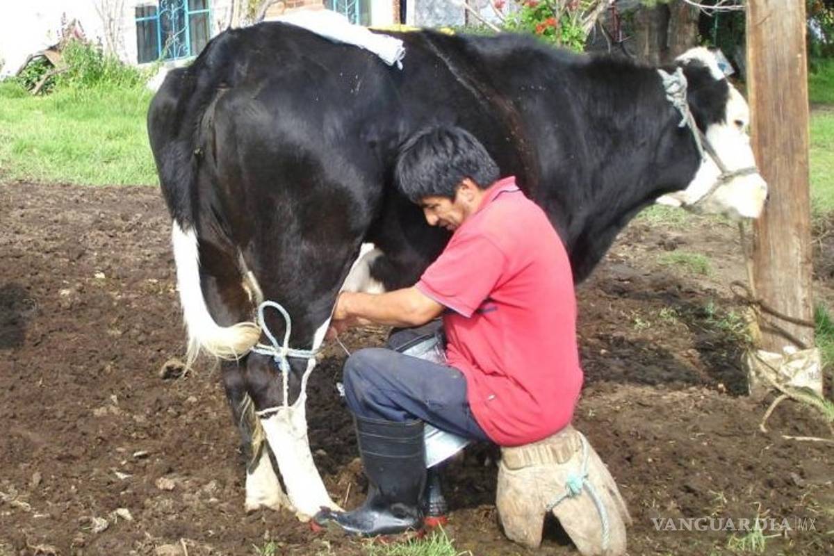 Exigen productores de leche, terminar con el comercio de producto adulterado