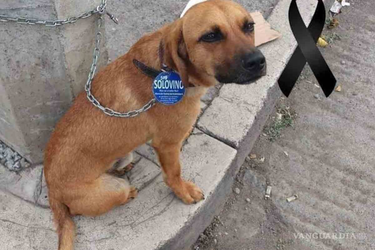 Se hace viral foto de indigente llorándole a su mejor amigo... un perrito callejero