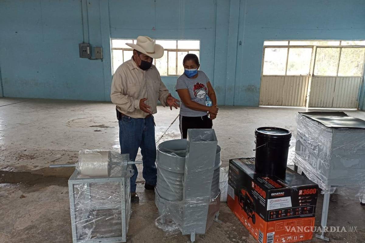 Apoyo a productores de cera de candelilla; emprende la UAdeC ambicioso proyecto