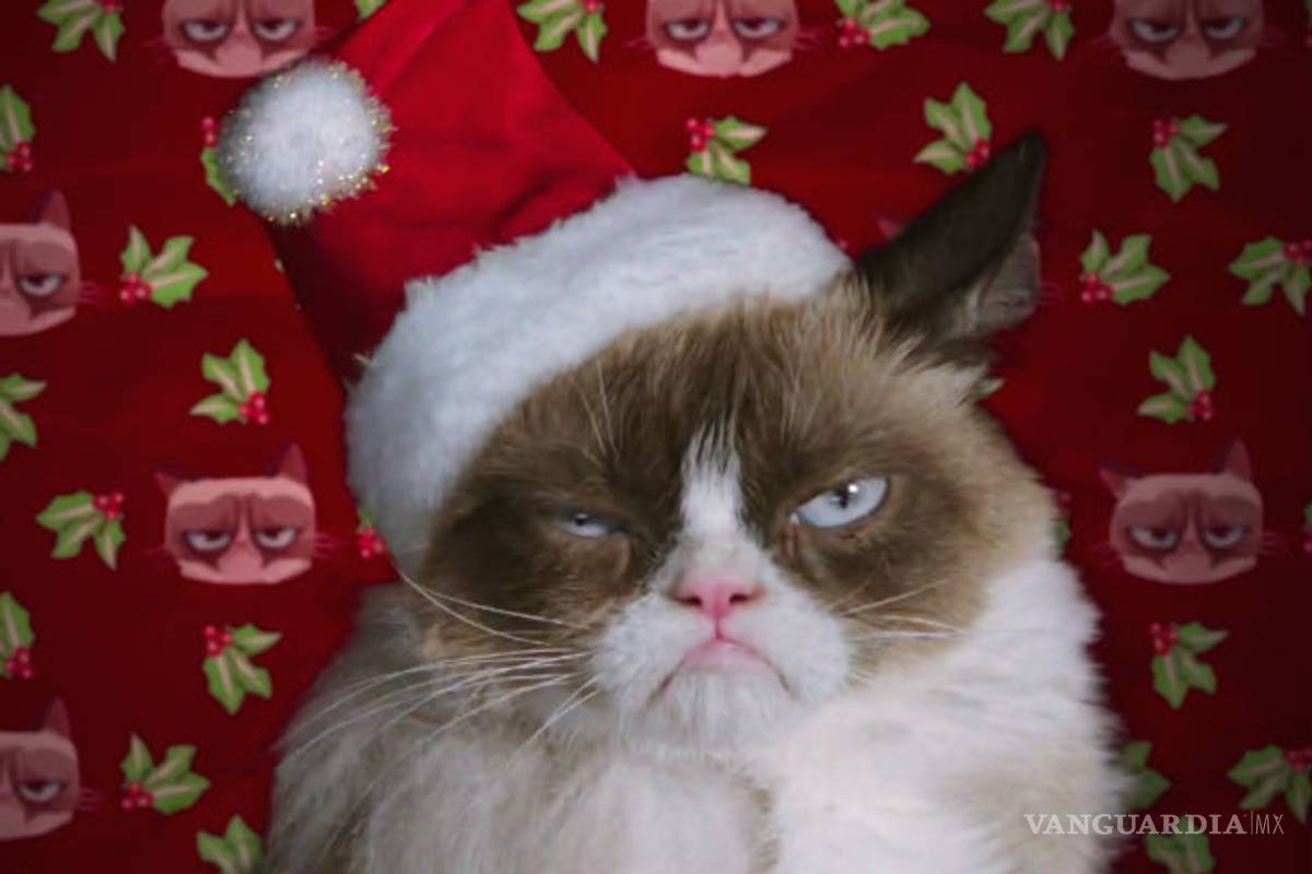 ¿Cómo vivir las fiestas familiares si los miembros están enojados?