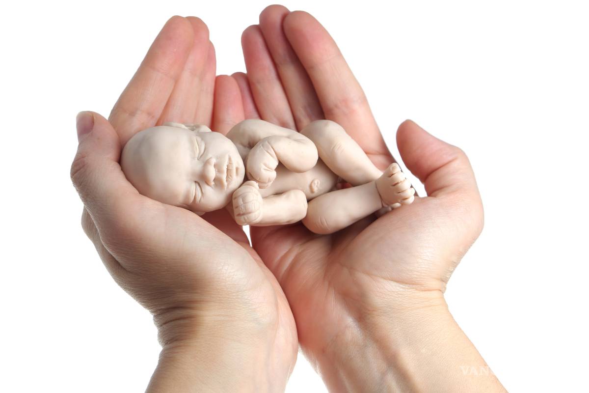 Advierte sacerdote saltillense: también son excomulgados los cómplices de quien aborta