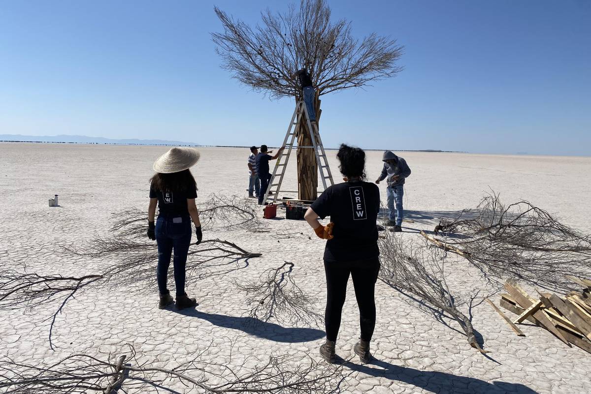 Alfredo de Stefano y Mercedes Luna charlarán sobre el poder del fuego, el cine y la poesía en la FILC