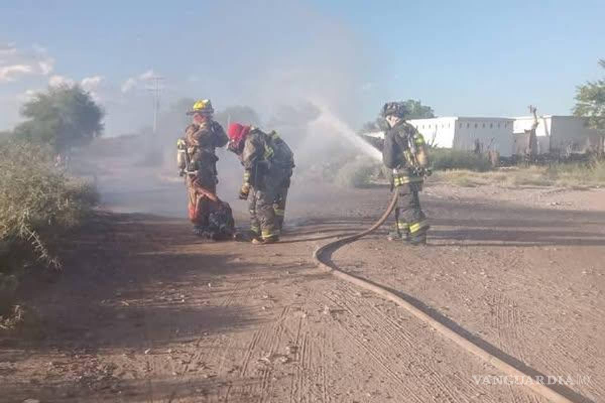 Ataca enjambre de abejas a dos hombres en San Pedro, Coahuila; uno sufrió insuficiencia respiratoria