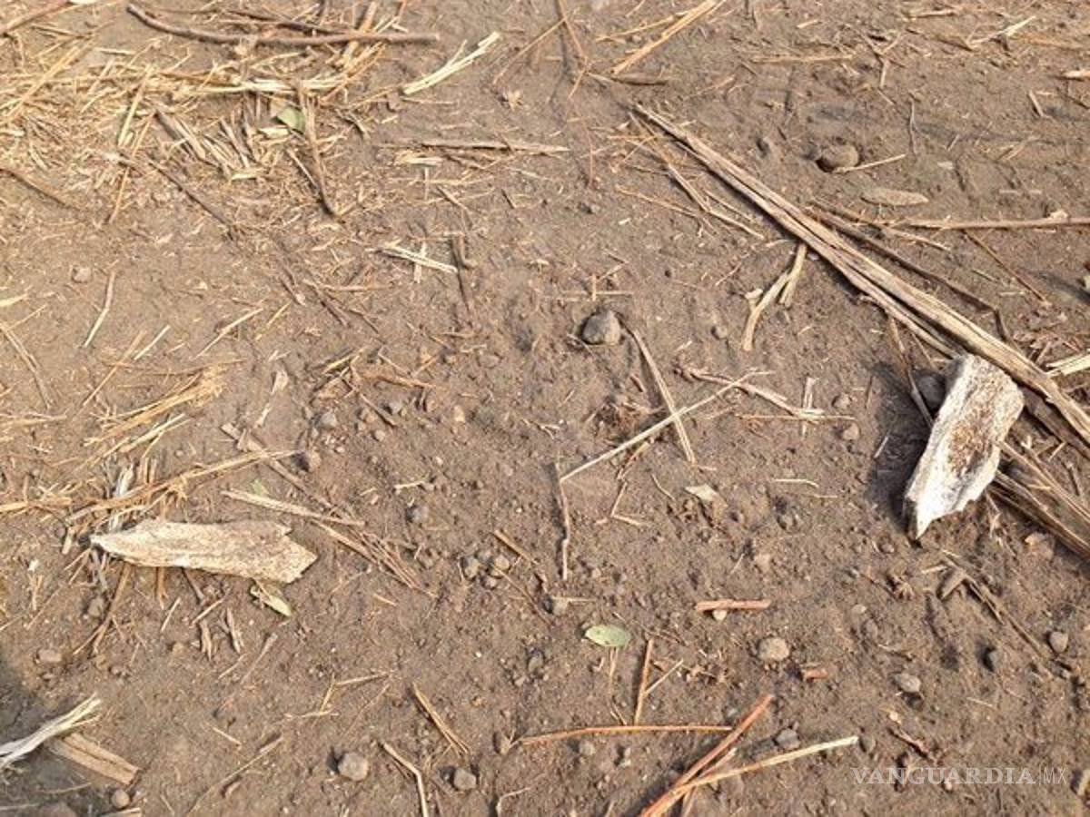 $!Fiscalía de Morelos rompió su propio protocolo al exhumar fosas de Tetelcingo