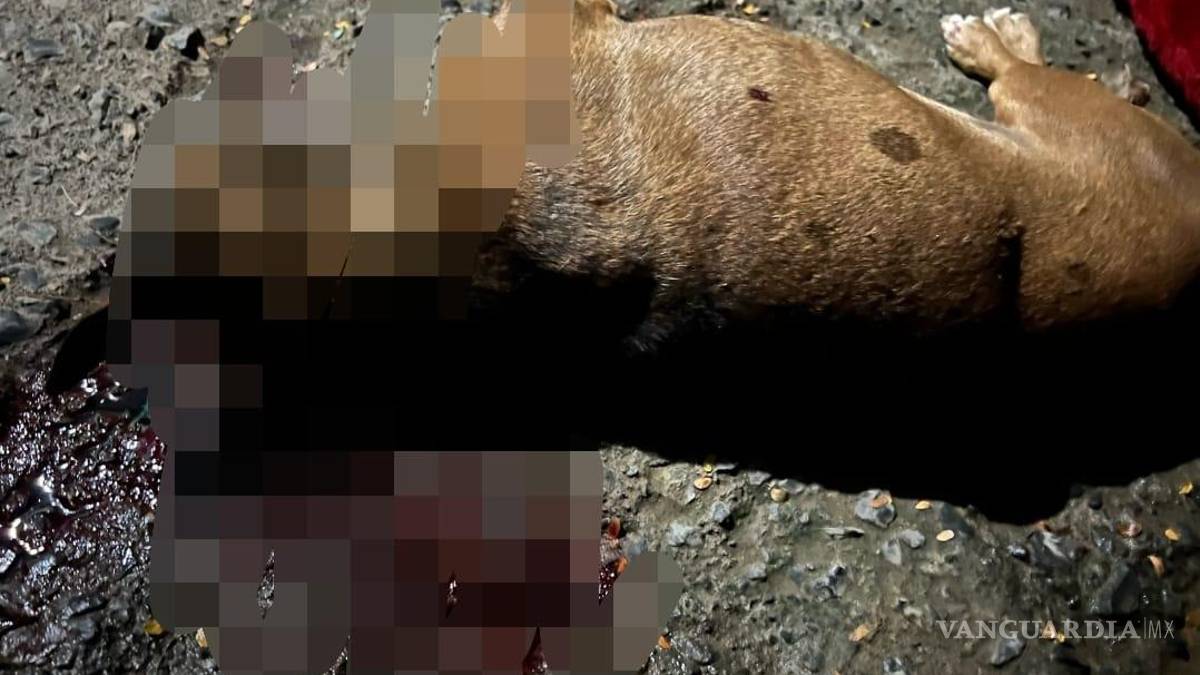 Identifican a policía que dio muerte al perrito ‘Choco’, en Nuevo León