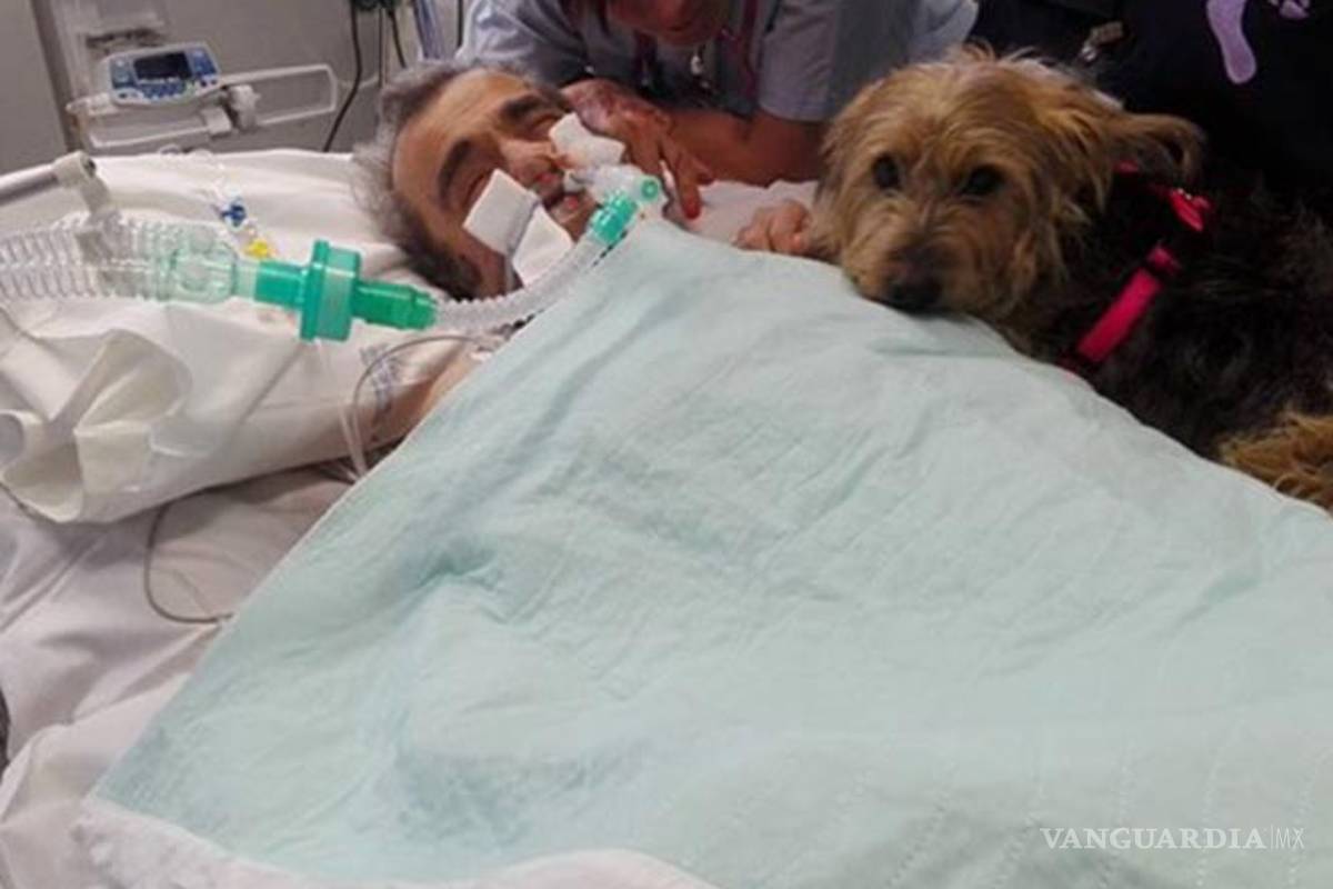 Hombre en coma reacciona ante la visita de su perrita