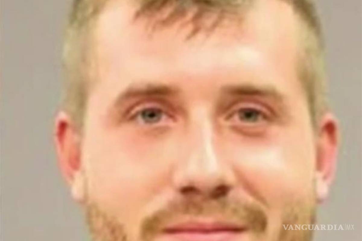 Confunden arena para gatos con metanfetamina