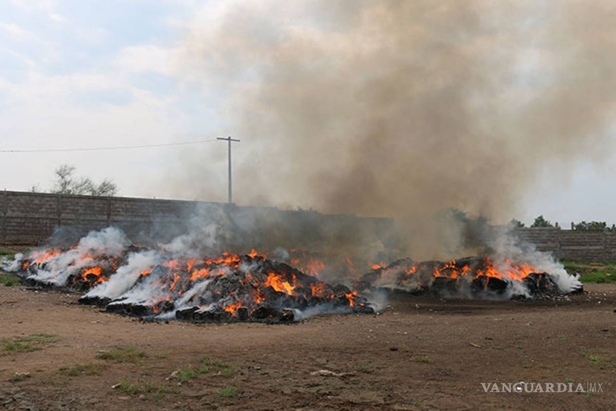 PGR y Sedena incineran 23 toneladas de droga en Sinaloa