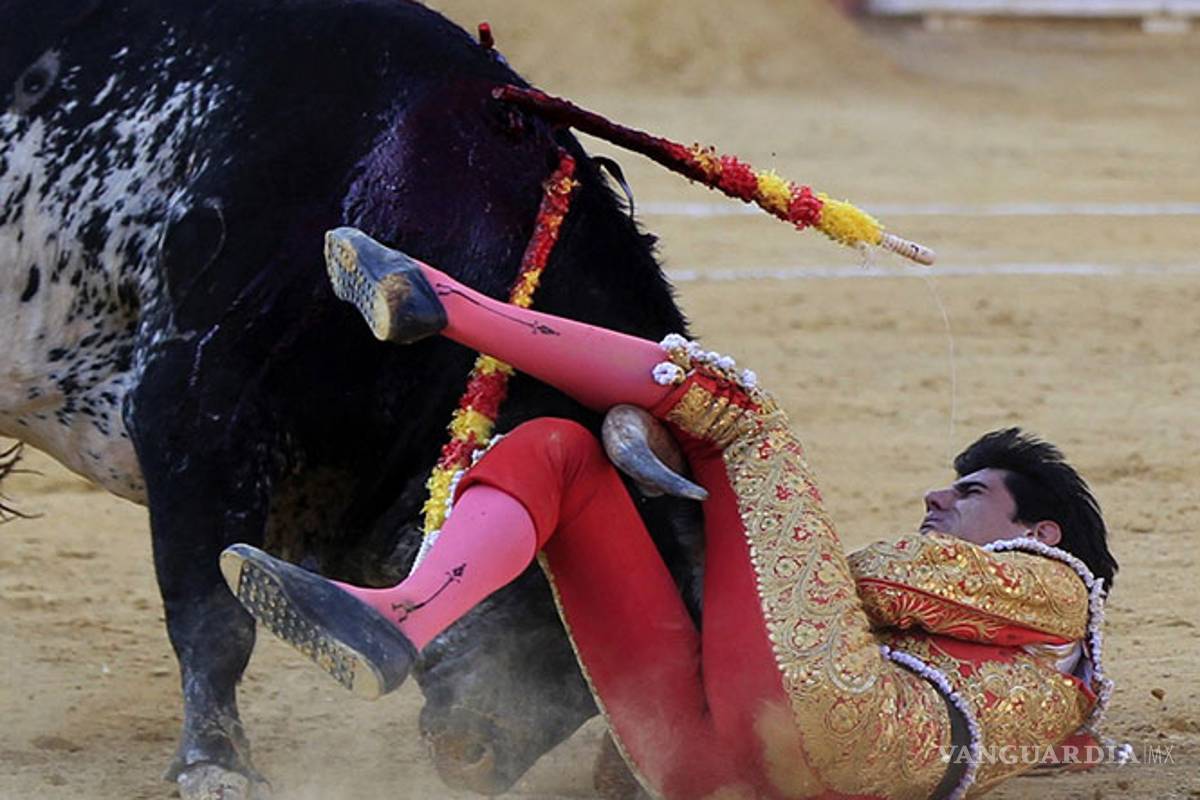 Muere el torero Víctor Barrio al sufrir brutal cornada en el pecho