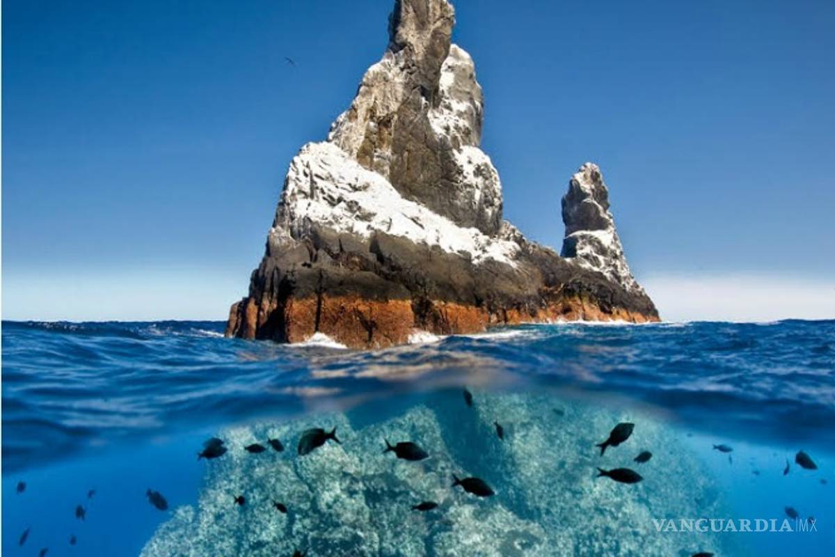 Archipiélago de Revillagigedo ya es patrimonio mundial de la Unesco