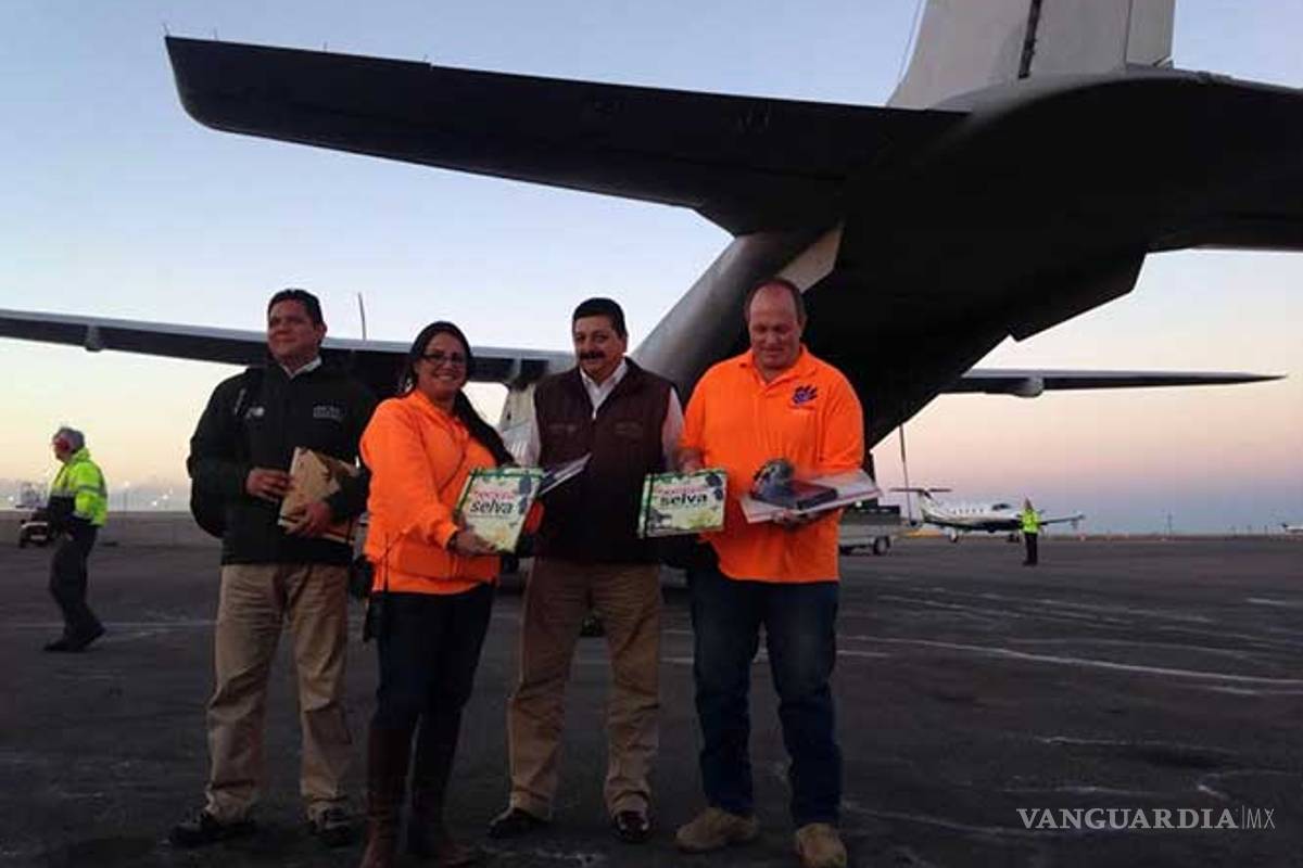 $!EU recibe a 11 grandes felinos rescatados en México