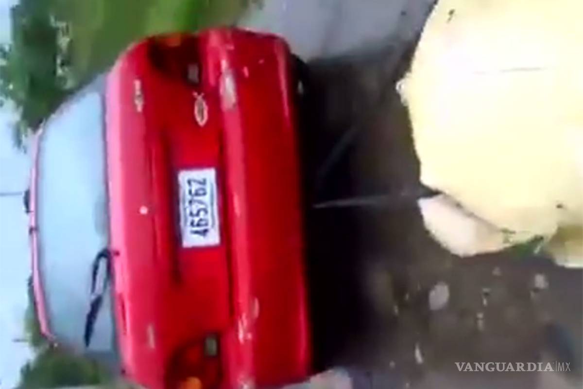 Jóvenes en Costa Rica arrastran con auto a tortuga hasta matarla