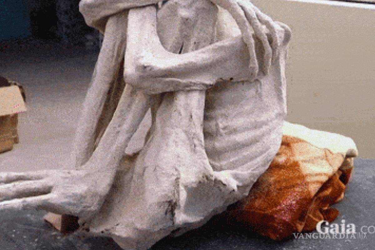 Descubren polémica momia &quot;extraterrestre&quot; en Perú
