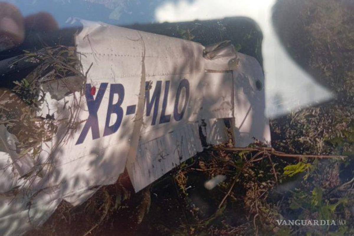 Registran 7 pasajeros muertos en desplome de avioneta Quitupan, Jalisco