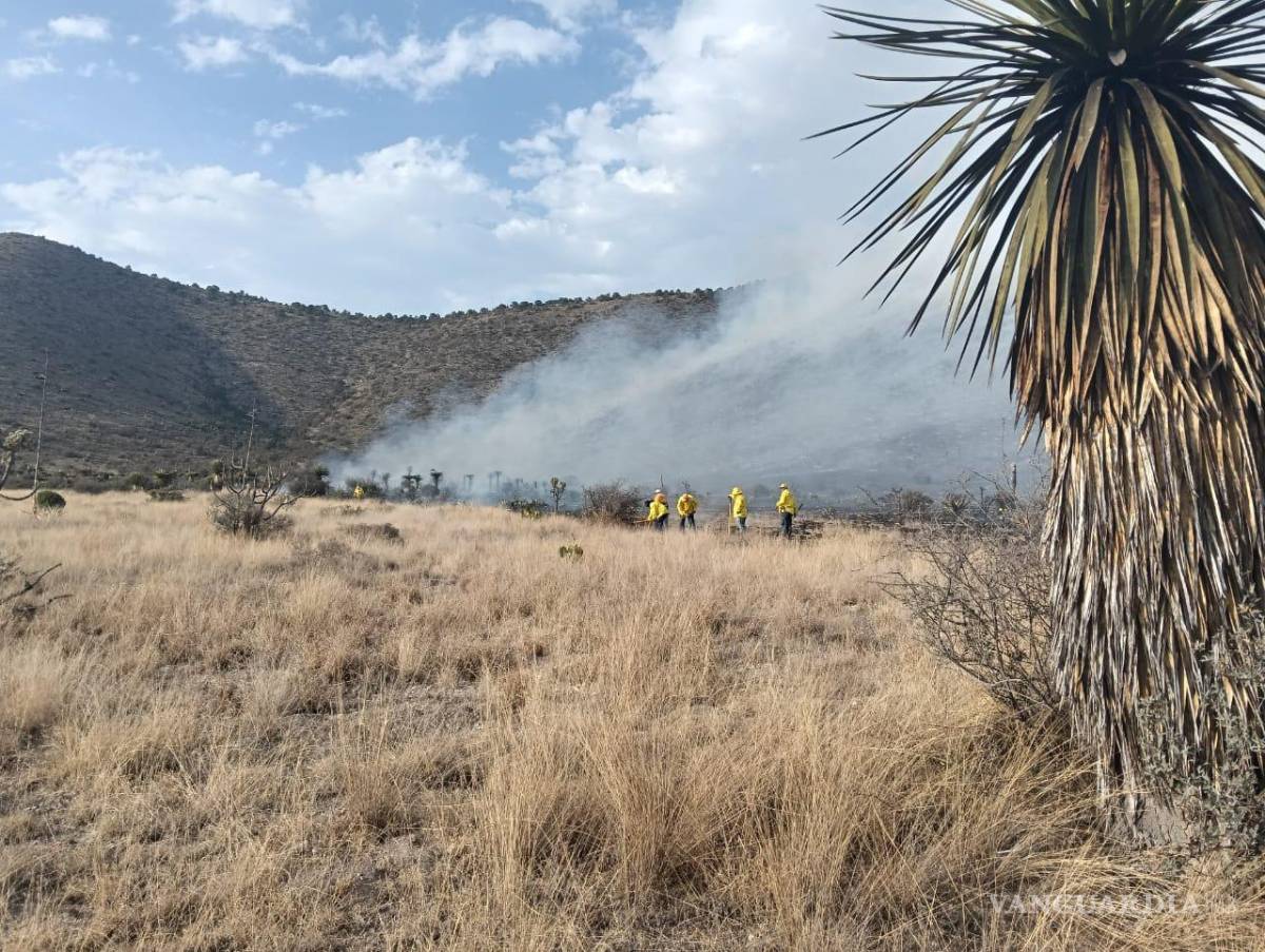 $!El incendio avanza entre pastizales secos; las ráfagas de viento dificultan las labores.