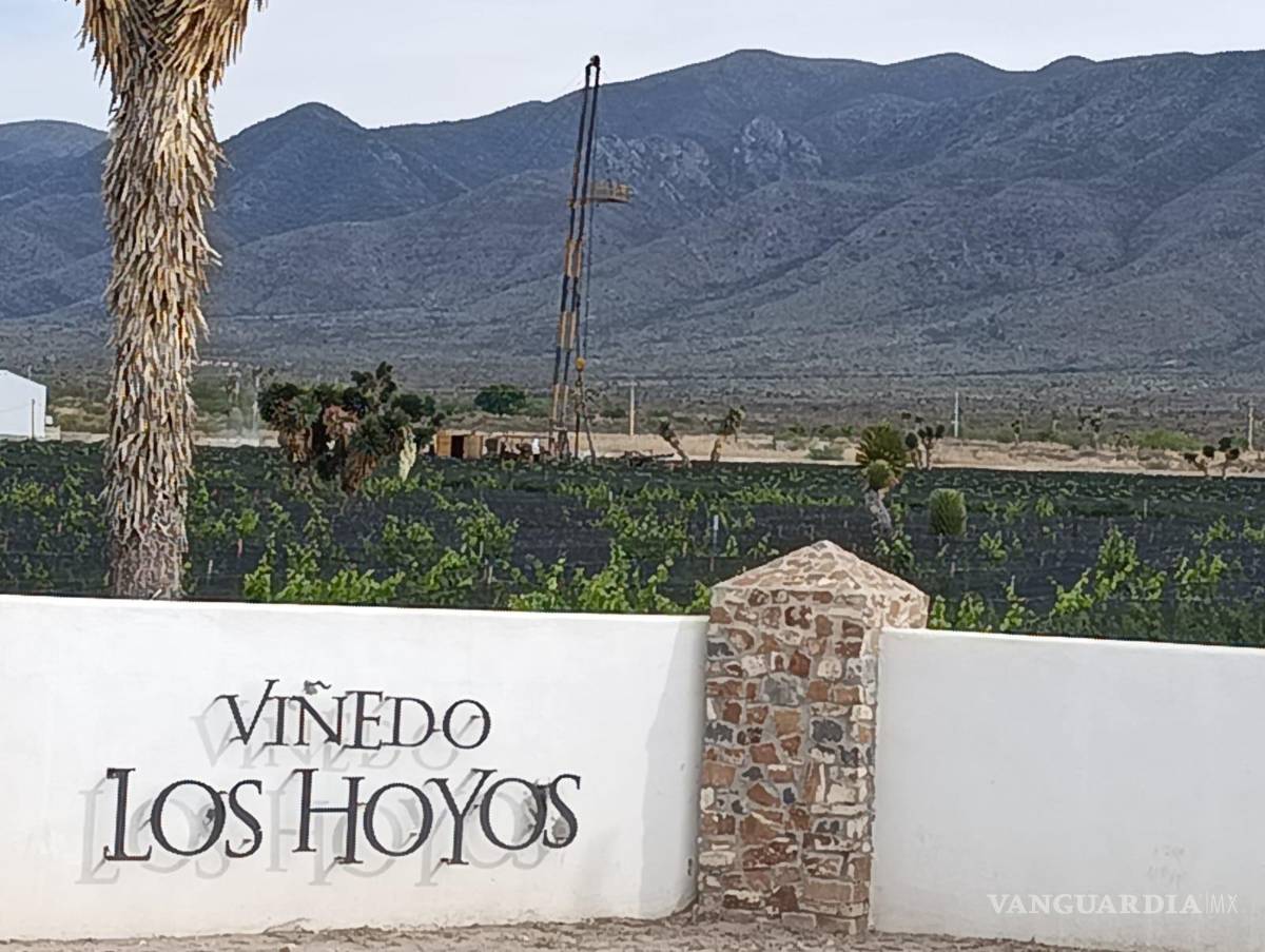 $!En el predio Viñedos Los Hoyos fue observada infraestructura hidráulica que transporta agua a lo largo de más de 20 kilómetros hacia instalaciones privadas, situación que ha generado cuestionamientos entre vecinos y organizaciones civiles.