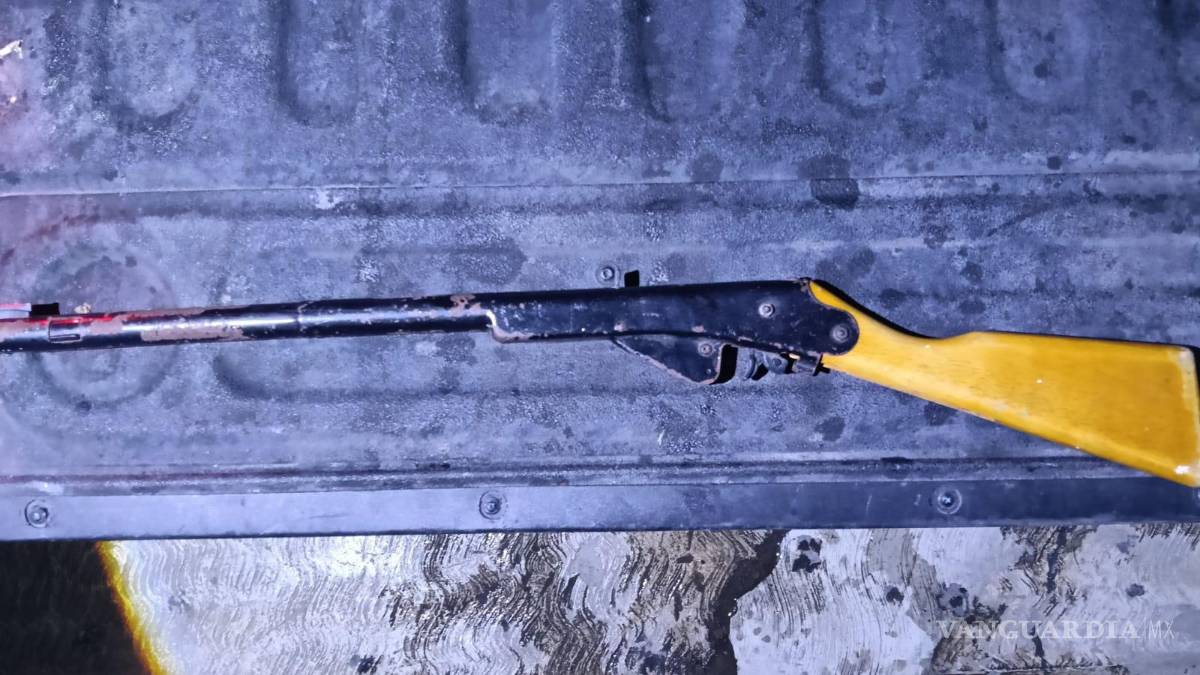 Lo detienen en posesión de drogas, un rifle, una tortuga y un caimán, en Nuevo León