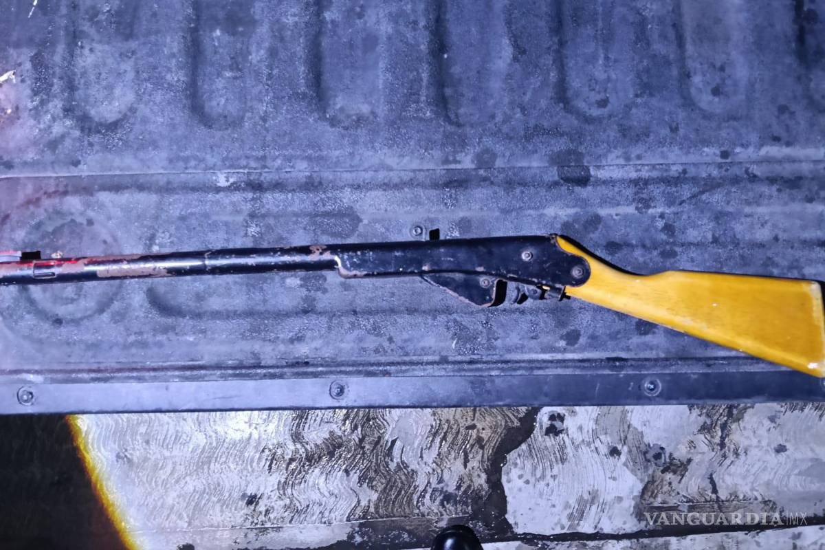 Lo detienen en posesión de drogas, un rifle, una tortuga y un caimán, en Nuevo León