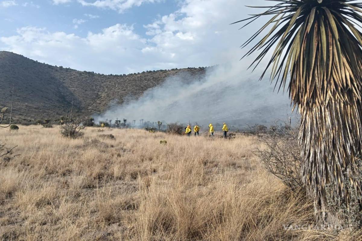 $!El incendio avanza entre pastizales secos; las ráfagas de viento dificultan las labores.