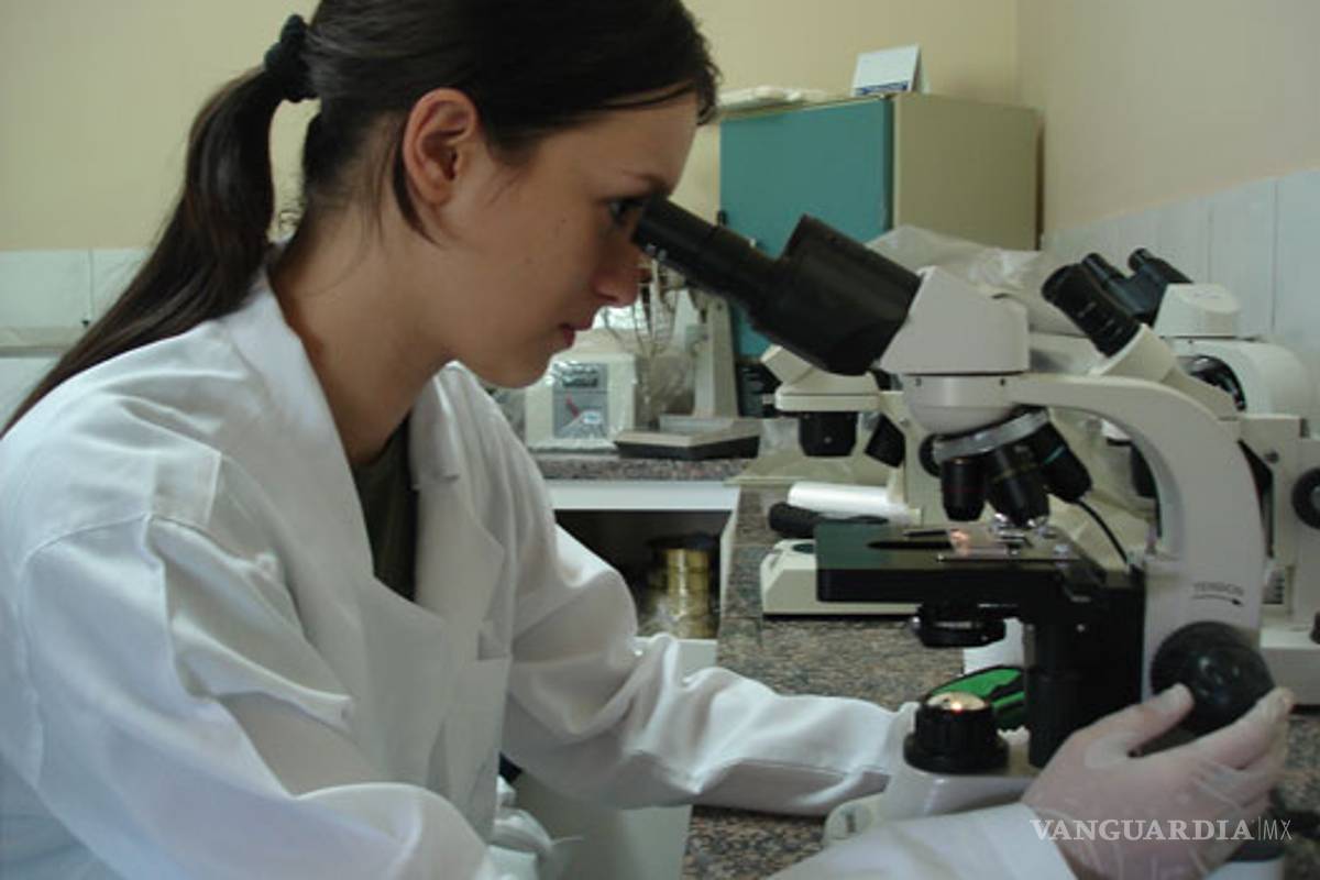 Científicos descubren cómo borrar recuerdos de miedo