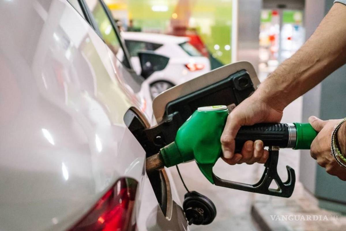 ¡Sin cambios! Se mantiene en 23.59 pesos por litro: Profeco