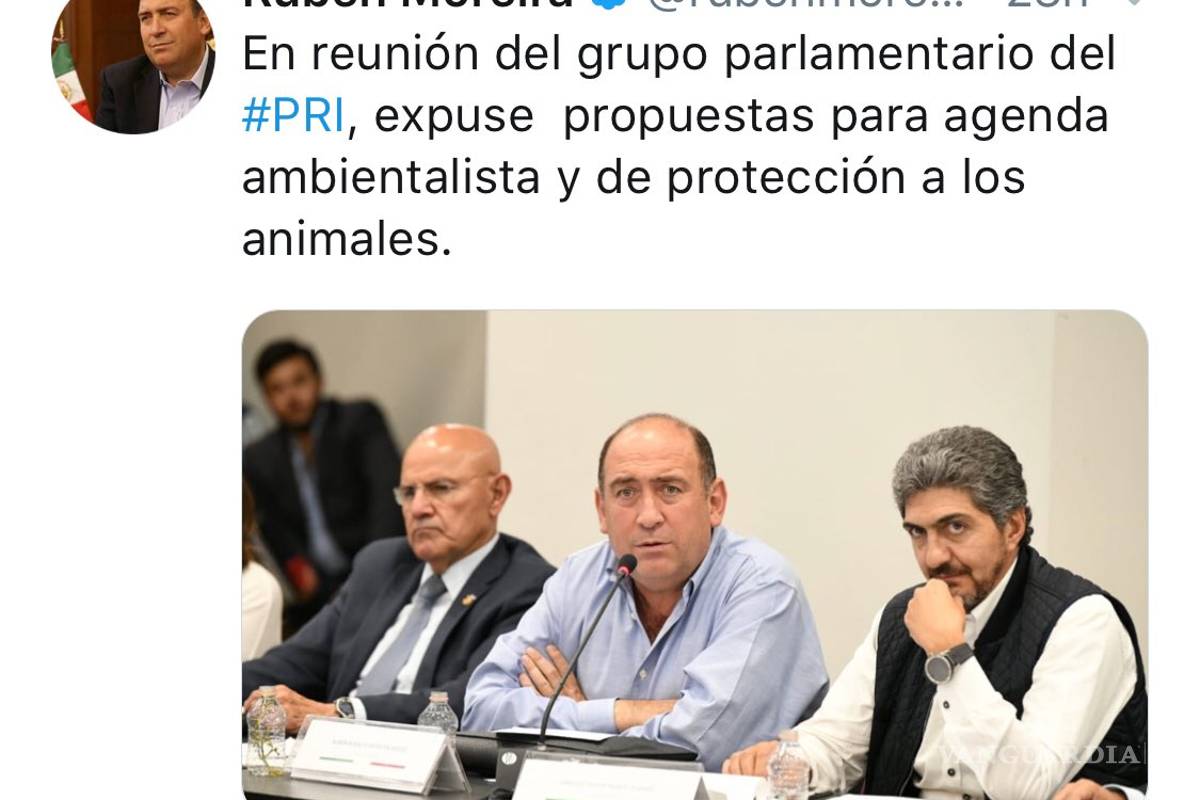 Llama Guadiana a Rubén Moreira ‘animal’ en Twitter