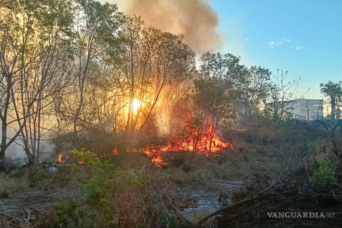 ¡Otra ola de incendios! Registra Nuevo León 122 catástrofes en 24 horas