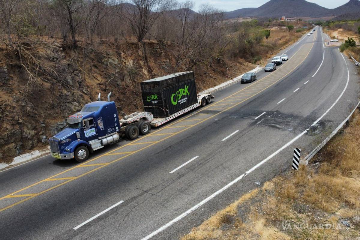 Violencia en Sinaloa obliga la evacuación de santuario animal en Culiacán