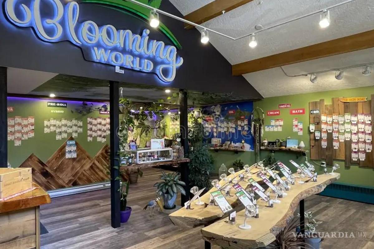 Legalizan en Alemania el consumo personal de cannabis, pero solo 25 gramos diarios