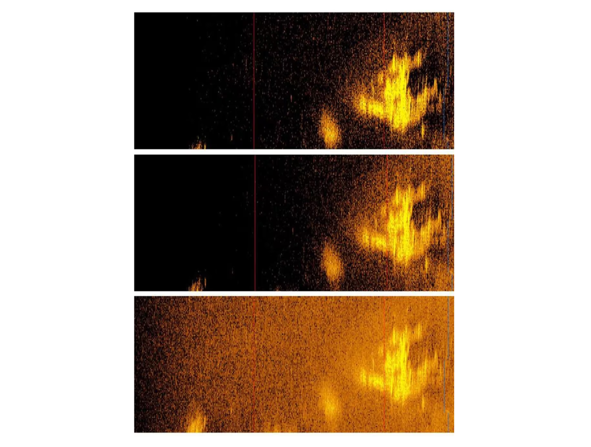 $!La imagen de sonar