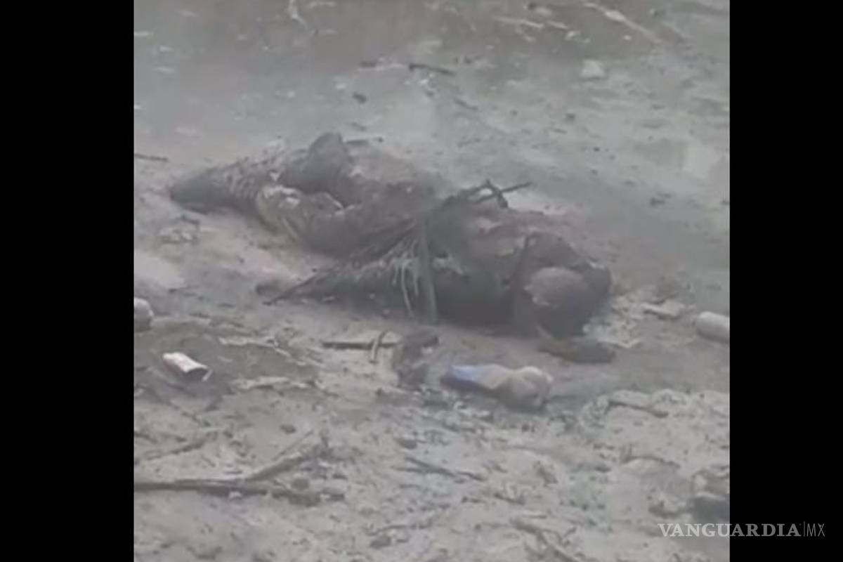 Encuentran cadáver en límite de Coahuila y Nuevo León, sería de piloto de motocross